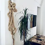 Apartment Stella Di Mare *